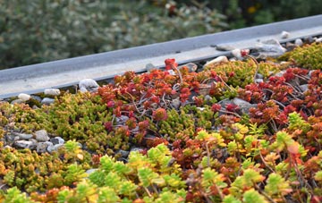 the cost of Bealach Maim green roof installation