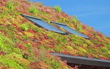 Bealach Maim living roof systems