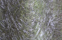 Bealach Maim fibreglass roof work